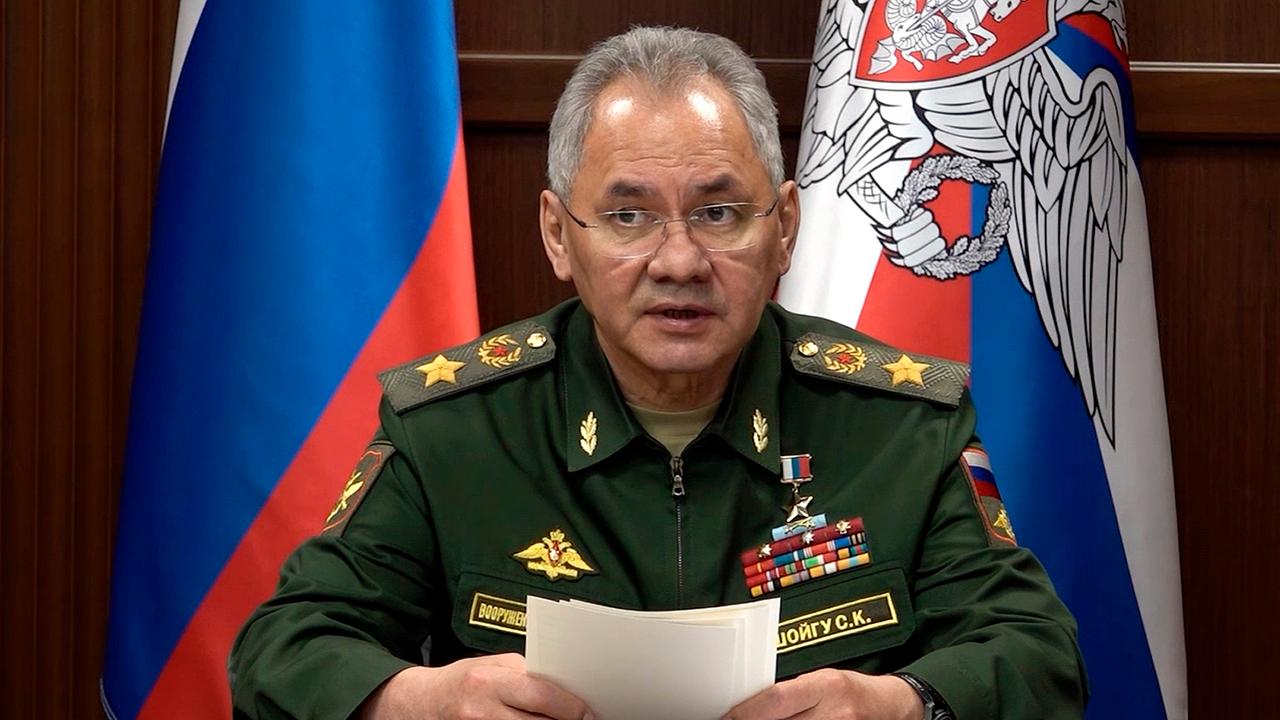 Putin fires Defense Minister Shoigu