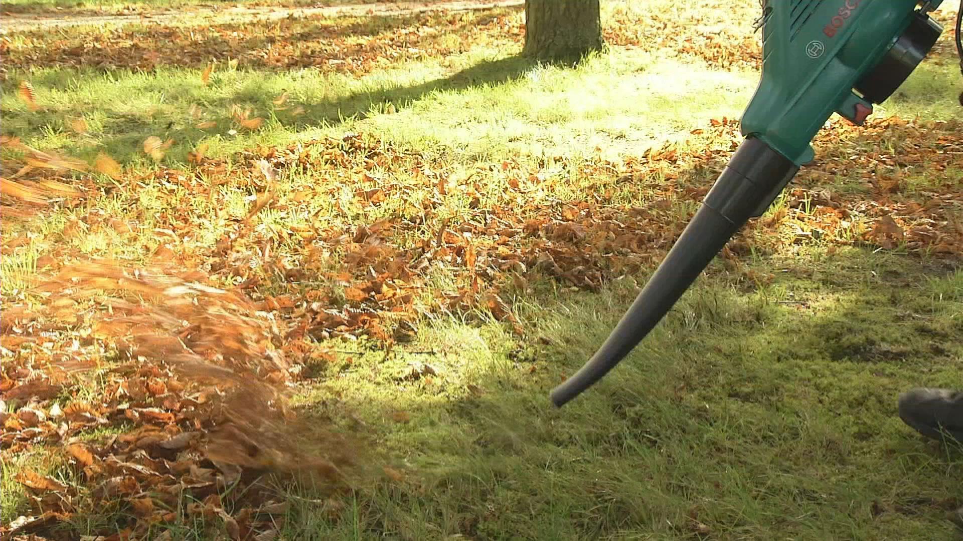 Laubbläser
