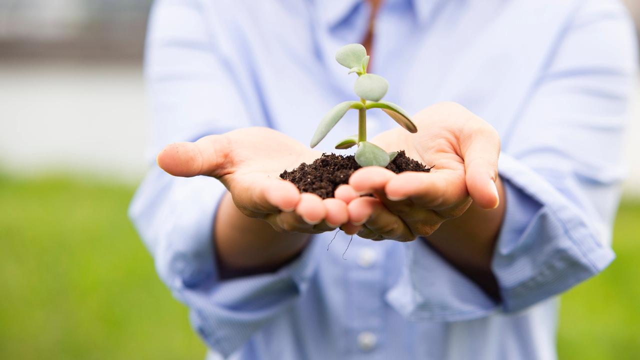 Nachhaltig leben - ZDFmediathek