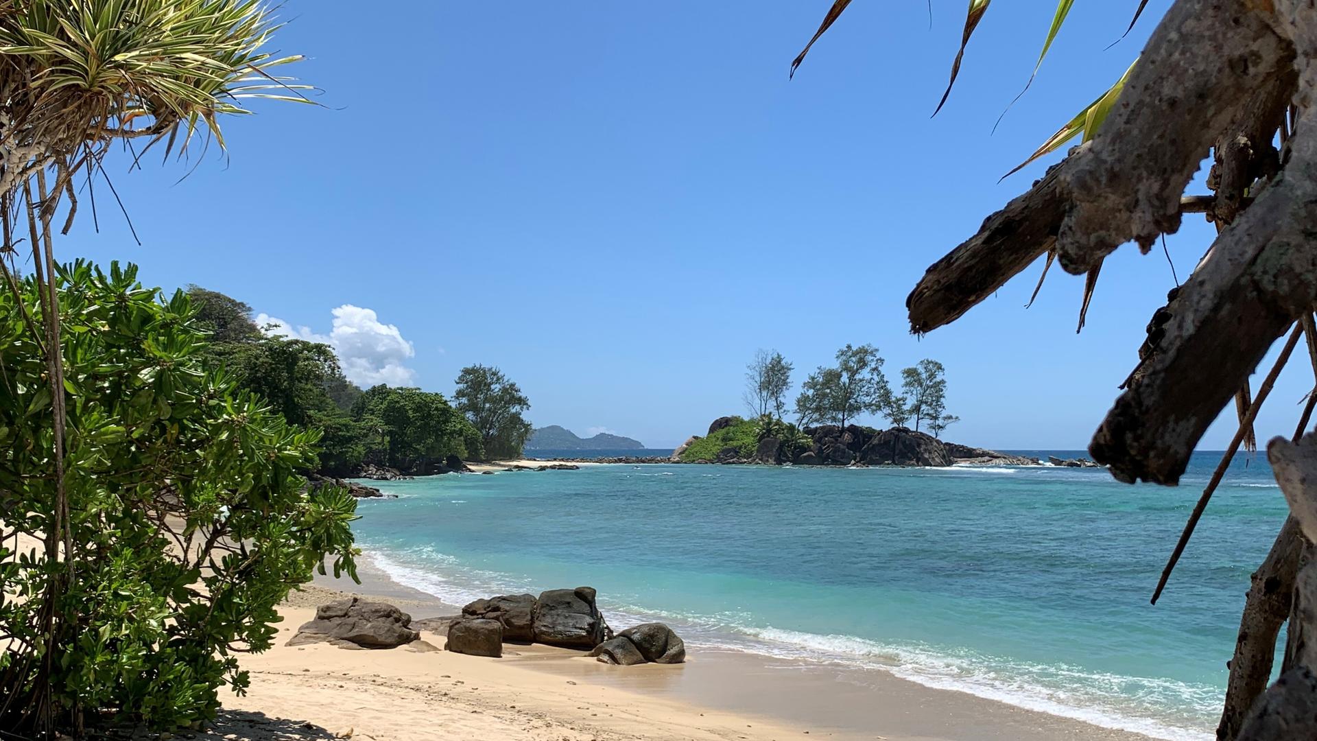 Blick auf den Strand einer Seychelleninsel.