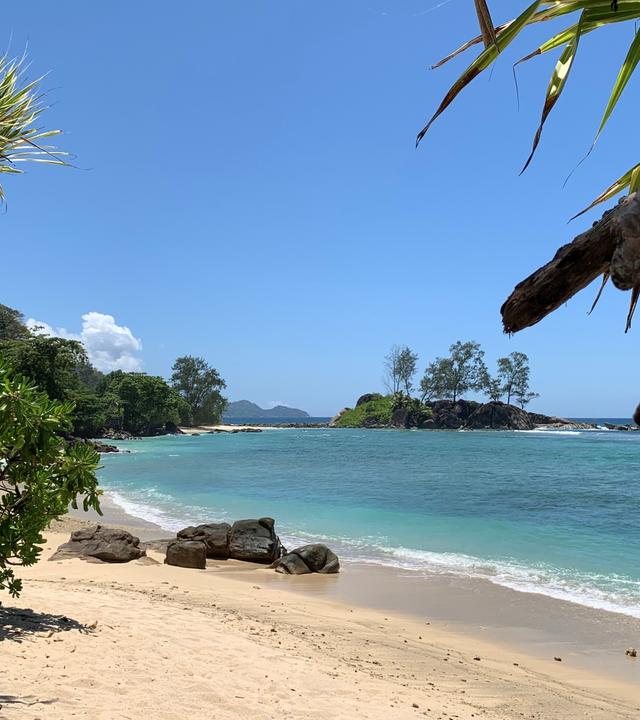 Blick auf den Strand einer Seychelleninsel.