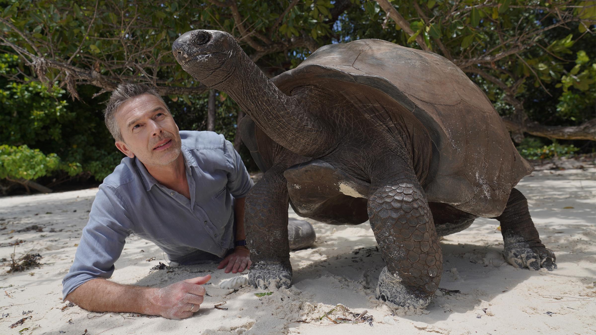 Terra X - Seychellen mit Dirk Steffens - Schildkröte