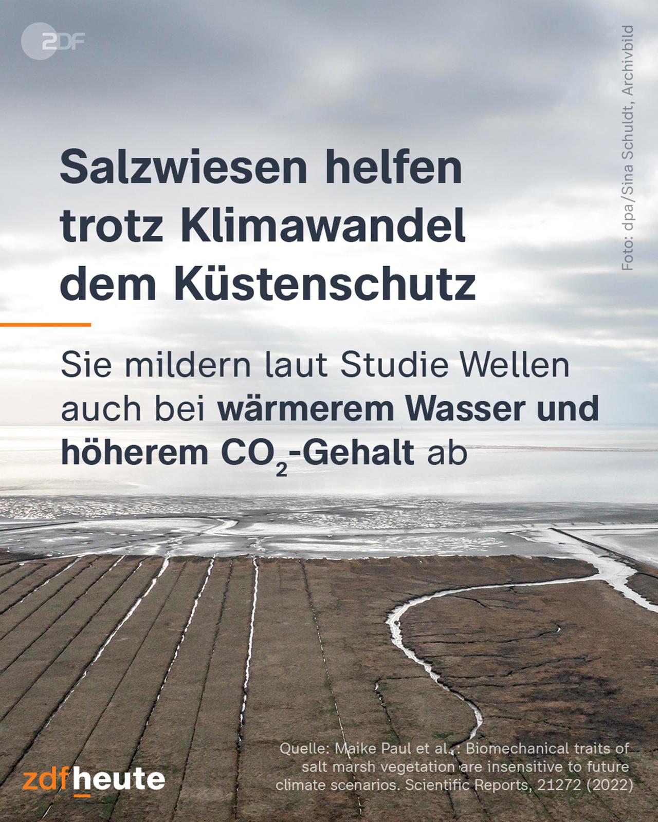 Salzwiesen helfen trotz Klimawandel dem Küstenschutz
