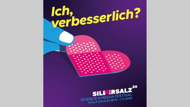 Logo des SILBERSALZ Festival 2026 "ich, verbesserlich"