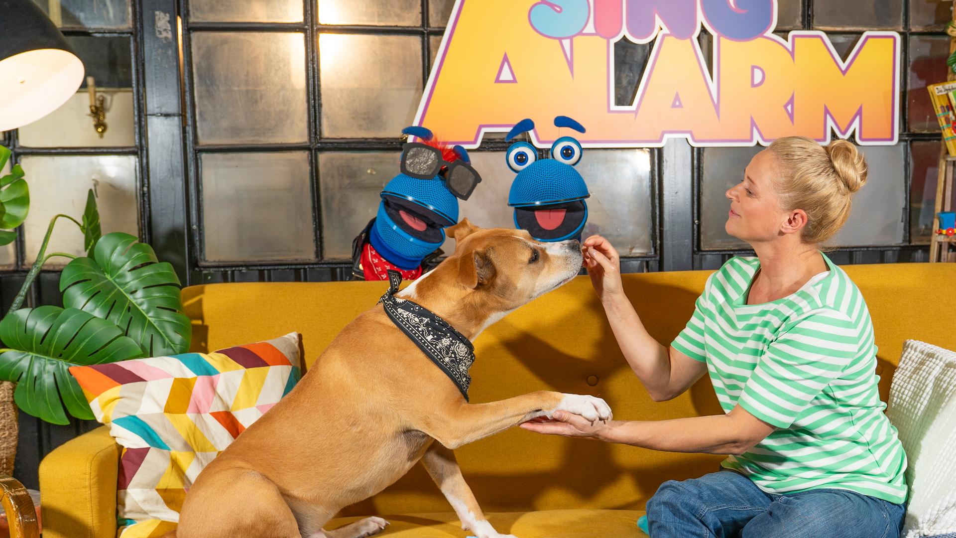 Singa sitzt mit einem Hund auf dem Sofa und hält dessen rechte Foto in ihrer linken Hand. Mit der rechten Hand fütterst sie ihm ein Leckerli. SingDing und seine Cousine Melody schauen hinter der Couch hervor.