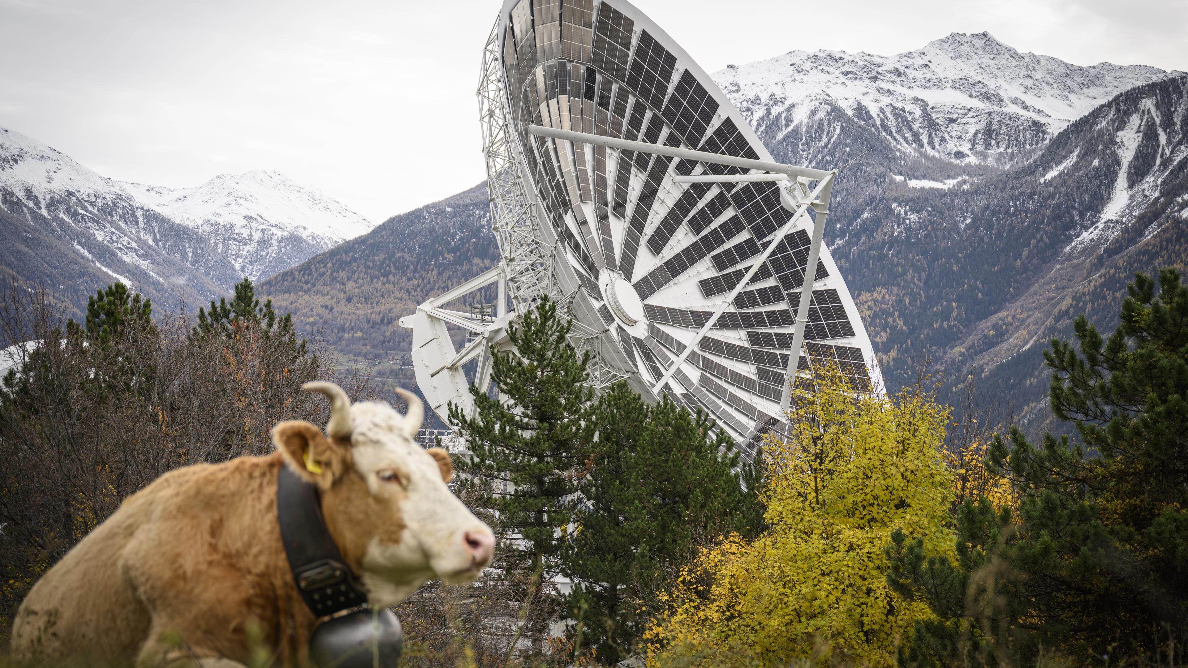 Schweiz, Leuk: Die erste Solaranlage Europas in ehemaligen Satellitenschüsseln.
