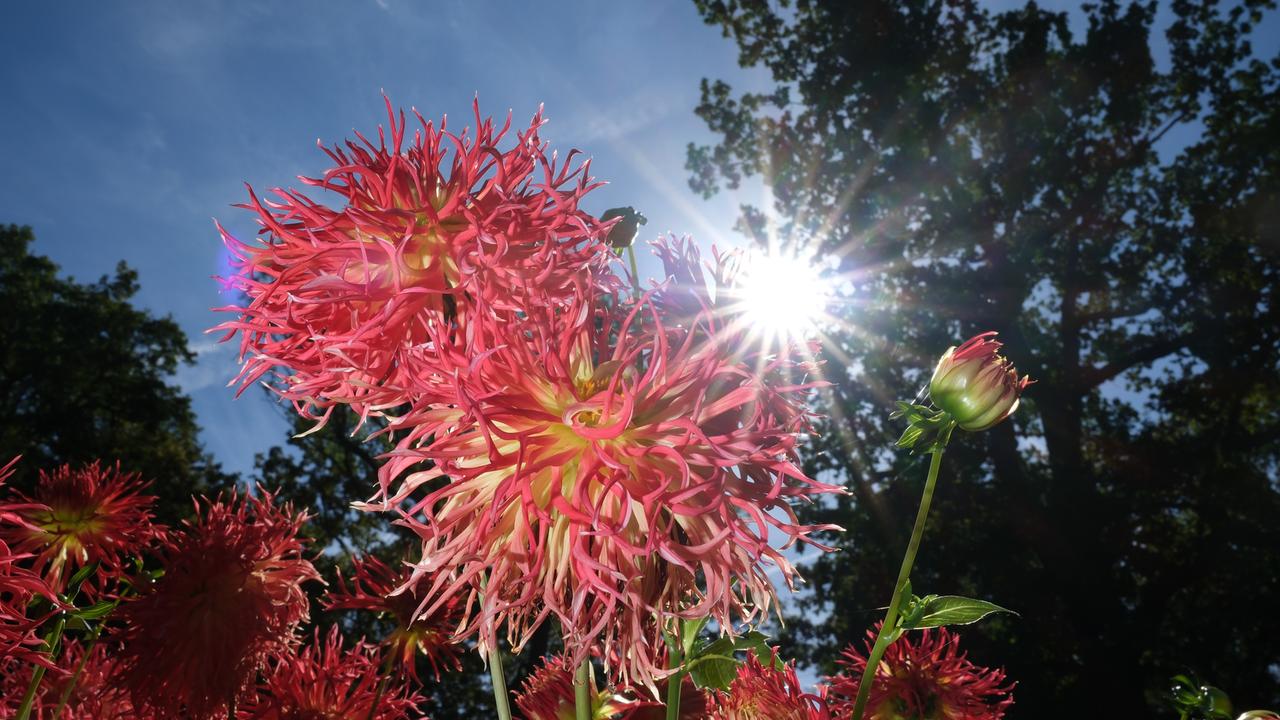 Vorläufige DWDBilanz Wärmster September seit Messbeginn ZDFheute