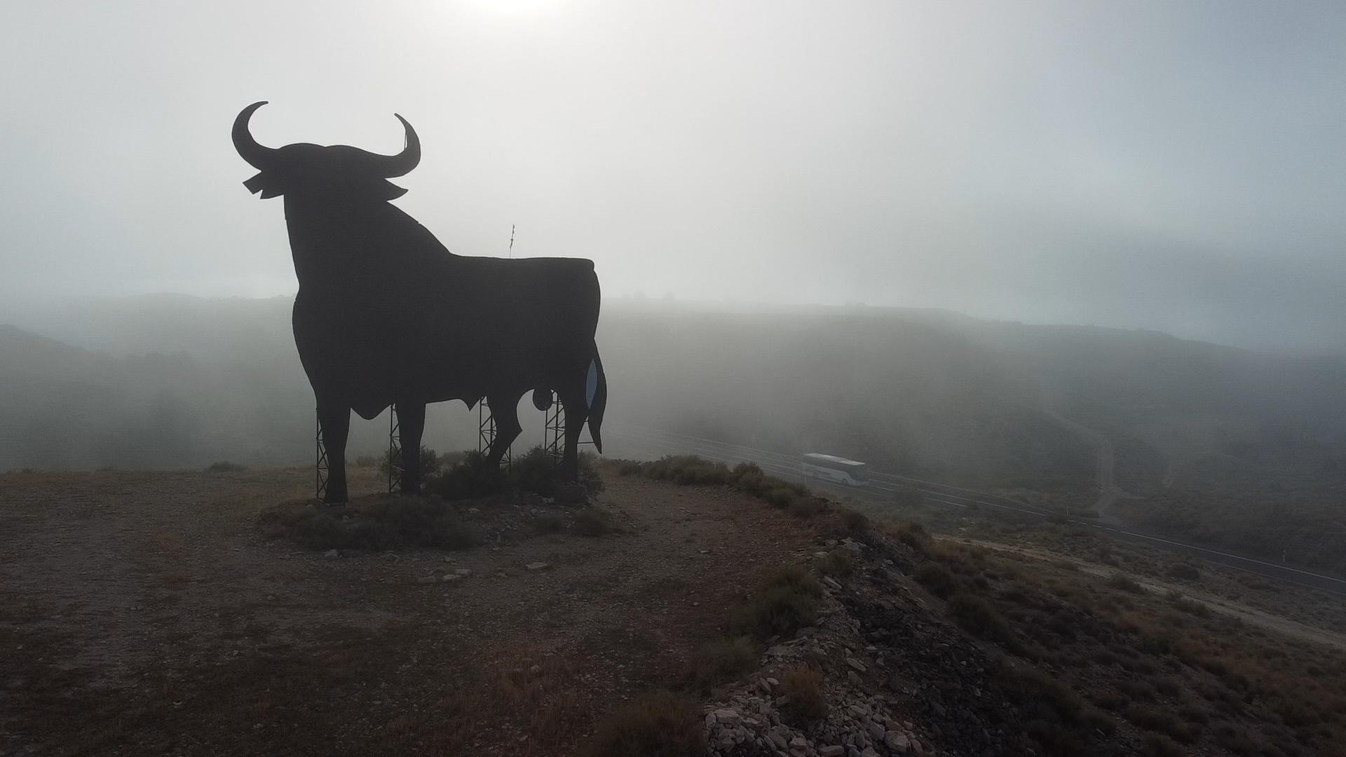 Schattenriss eines Stiers (Monument) vor Nebel