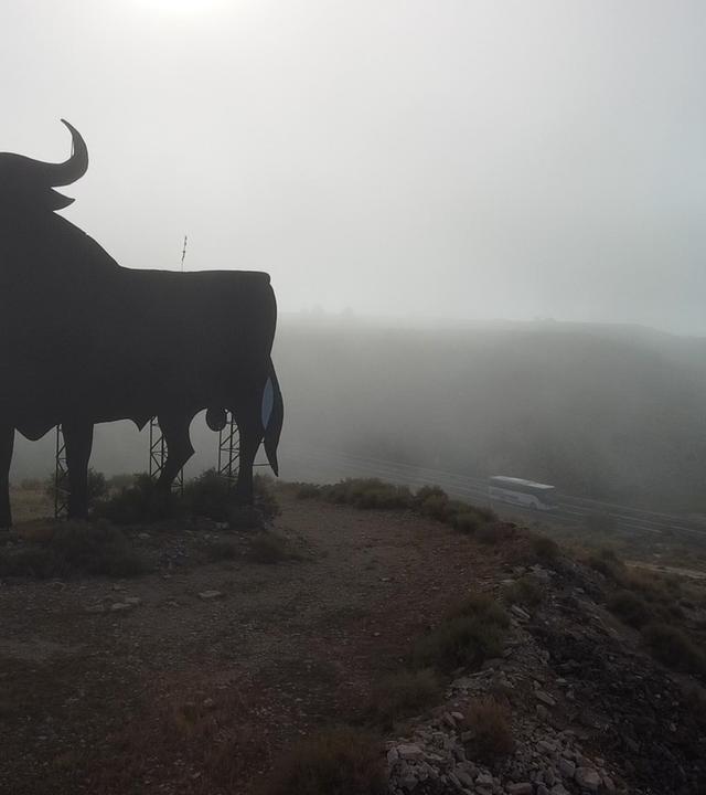 Schattenriss eines Stiers (Monument) vor Nebel