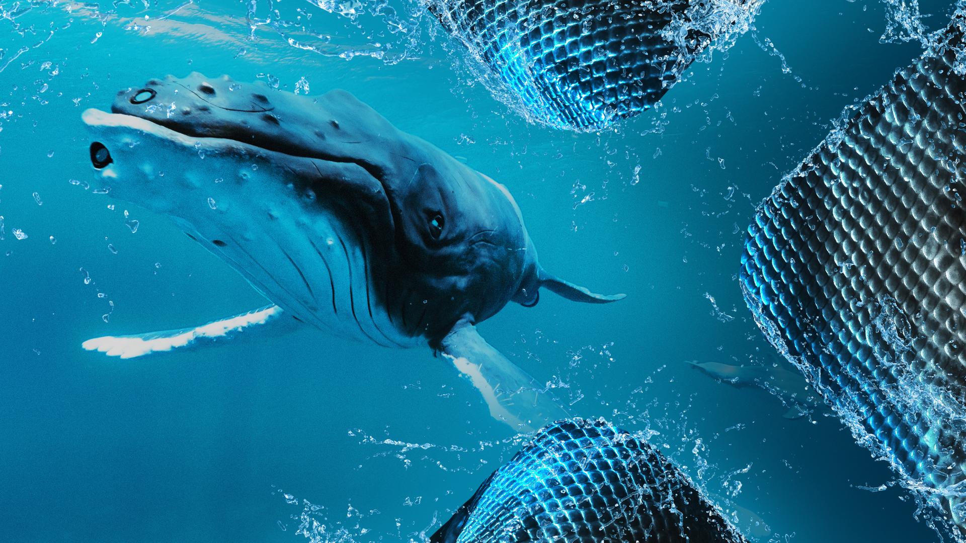 Ein künstlicher Buckelwal und ein künstlicher Delfin im Wasser.