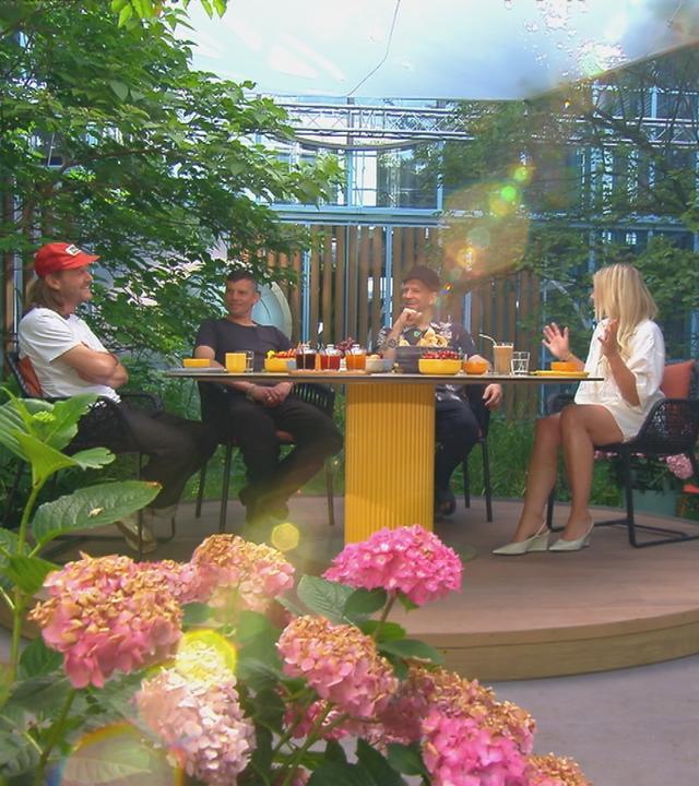Band Sportfreunde Stiller zu Gast bei Volle Kanne