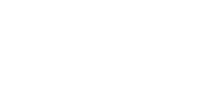 Stadtvögel