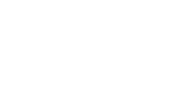Stadtvögel