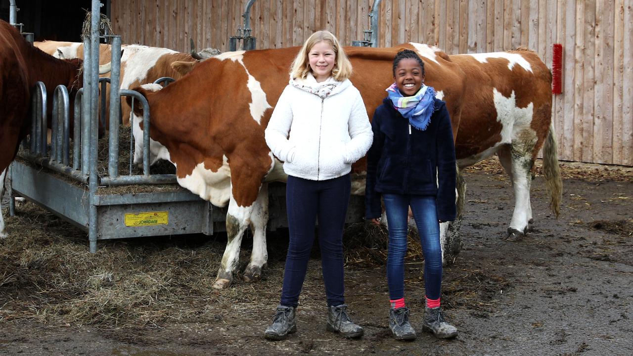 Das Haustiercamp Folge 4 Staffel 3 Zdftivi