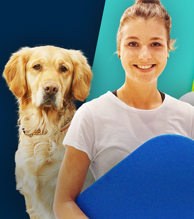 Die Sportmacher: Für die Hundesportart Agility ist ein Golden Retriever links im Bild zu sehen, Moderatorin Laura hat ein Brett in der Hand, das man zum Erlernen des Kraulschwimmens verwendet und Moderator Stefan ist mit Eisschnellaufschuhen ausgerüstet. 