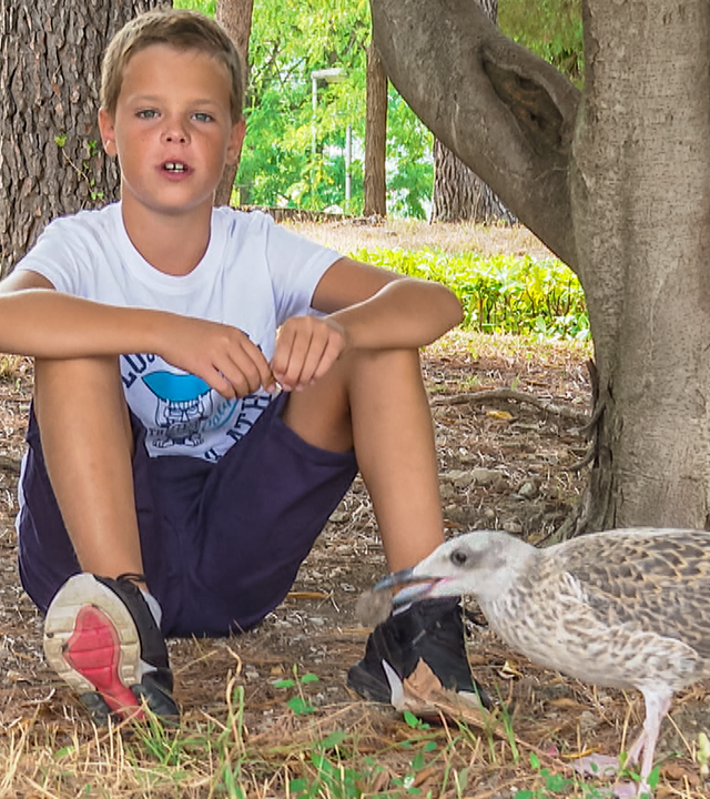 stark! - Uros - Ich rette meine Möwe