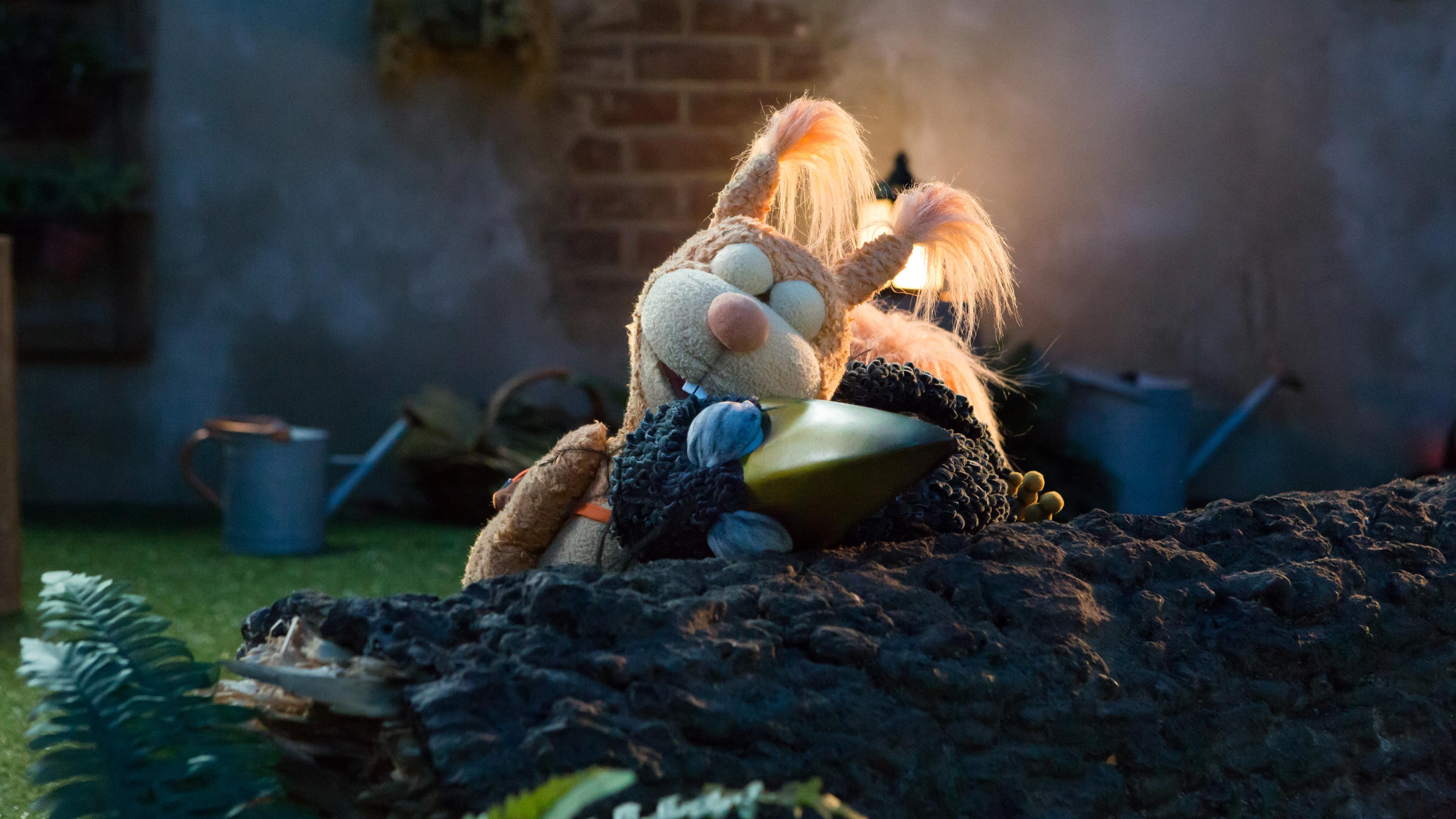 Es ist Nacht. Eichhörnchen Ella und Rabe Rudi liegen übereinander schlafend auf der Wiese.