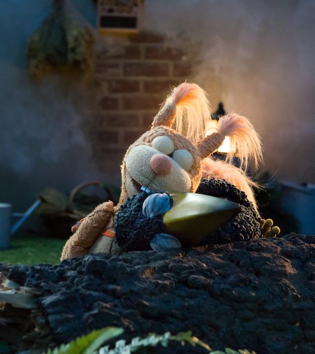 Es ist Nacht. Eichhörnchen Ella und Rabe Rudi liegen übereinander schlafend auf der Wiese.