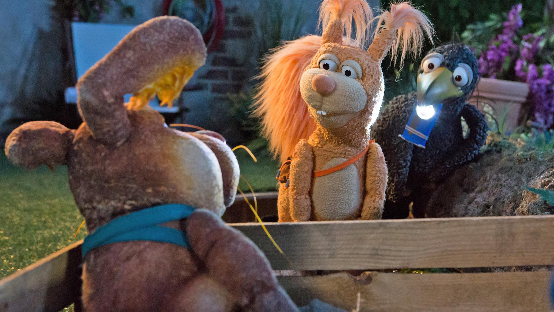 Hase Otto, Eichhörnchen Ella und Rabe Rudi sind am Möhrenbeet. 
