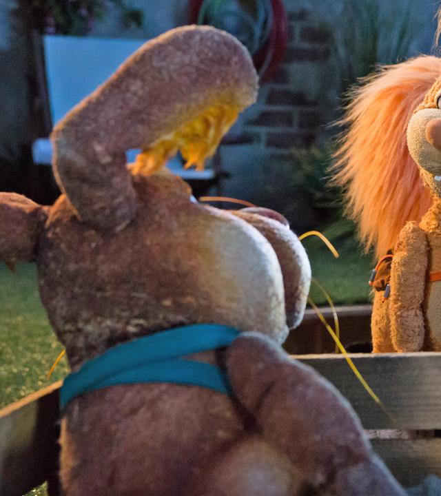 Hase Otto, Eichhörnchen Ella und Rabe Rudi sind am Möhrenbeet. 