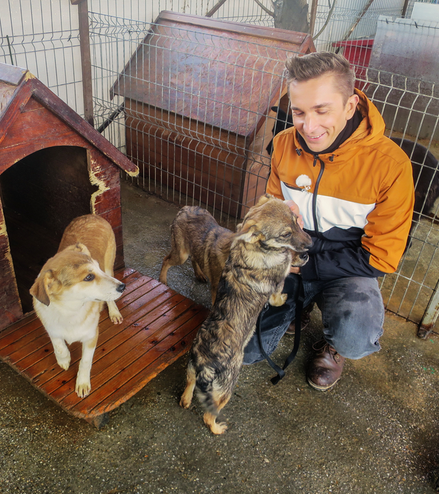 Eric im Zwinger bei zwei Straßenhunden