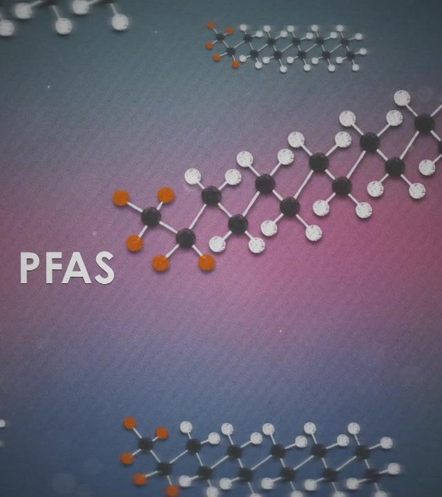 Eine Grafik mit einer PFAS-Verbindung und einem Totenkopf.