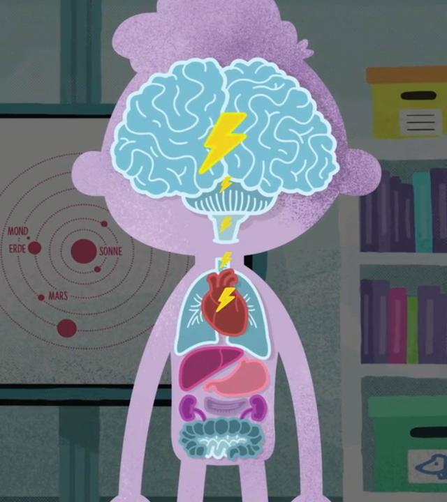 Animation: Stress im Körper