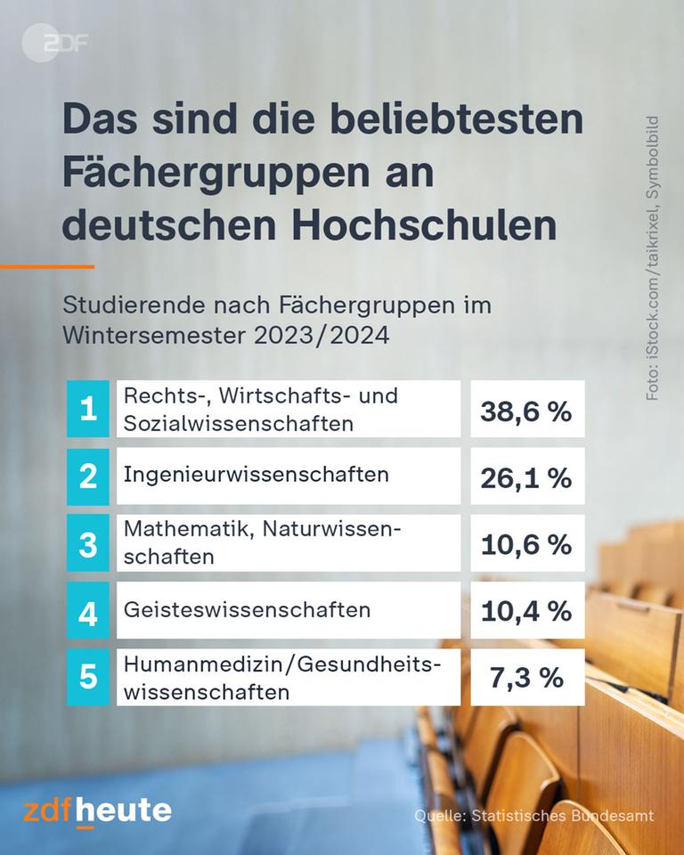 Die beliebtesten Fächer an deutschen Hochschulen: Rechts-, Wirtschafts- und Sozialwissenschaften: 38,6%, Ingenieurwissenschaften: 26,1 %, Mathematik, Naturwissenschaften: 10,6%, Geisteswissenschaften: 10,4%, Humanmedizin/Gesundheitswissenschaften: 7,3%