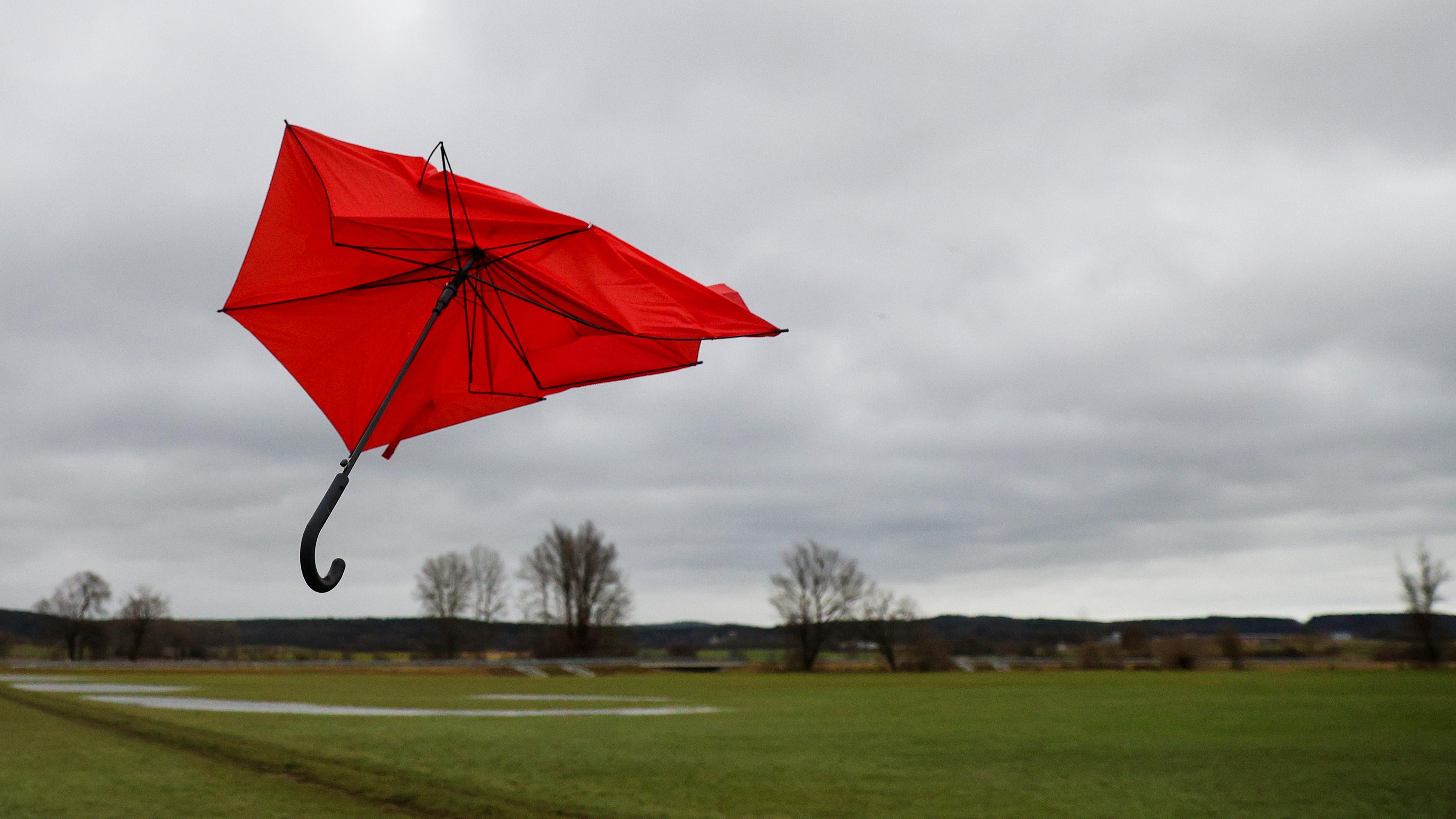 Ein kaputter Regenschirm fliegt im Wind von Sturmtief «Zoltan» über eine Wiese, auf der noch Reste von Hochwasser zu sehen sind. 