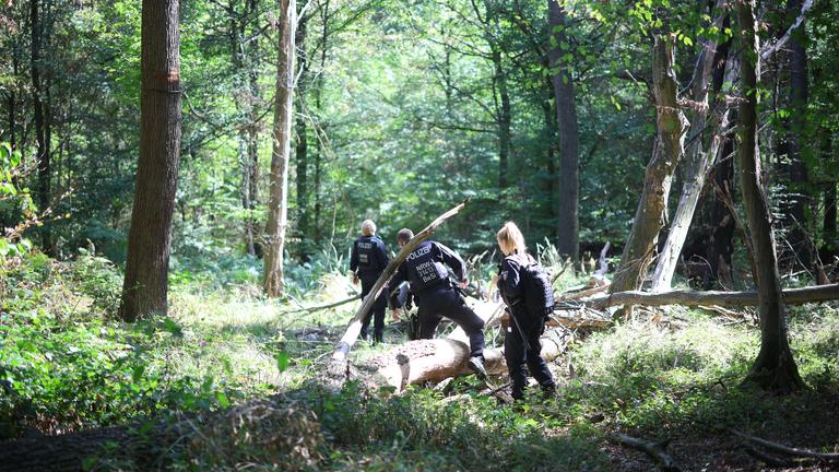 Polizeikräfte durchsuchen ein Waldstück bei einem Großeinsatz am Hambacher Forst. 