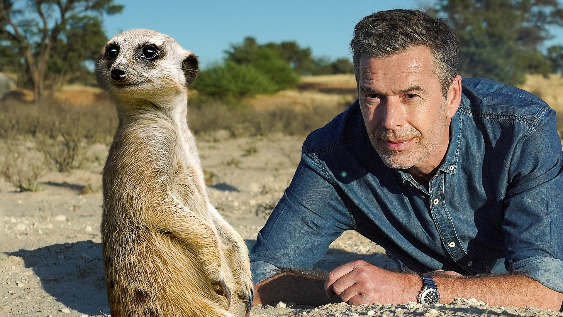 Dirk Steffens mit Erdmännchen