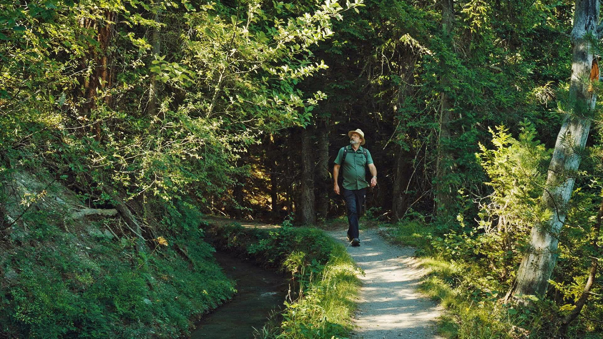 Ein Wanderer, bekleidet mit Hut und Rucksack, folgt einem schmalen Pfad entlang der Suone von Ayent durch einen lichtdurchfluteten Wald. Die Szene ist geprägt von friedlicher Ruhe und der Schönheit der Natur.