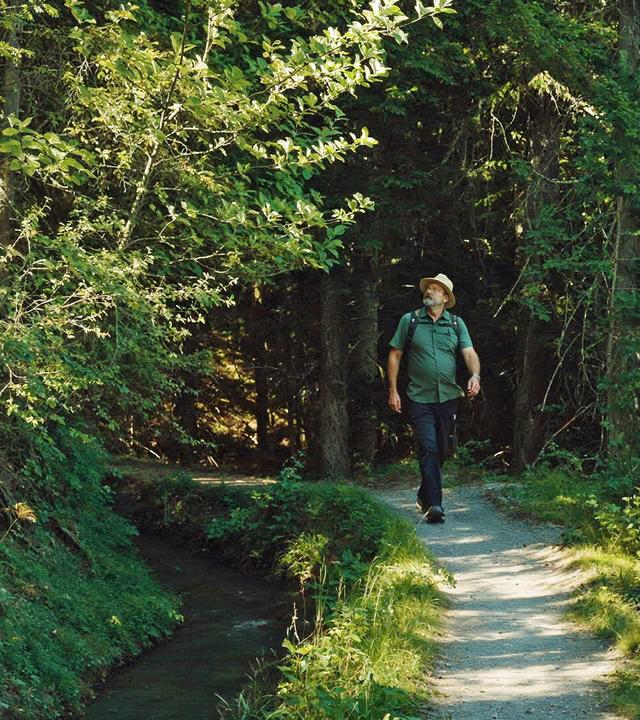 Ein Wanderer, bekleidet mit Hut und Rucksack, folgt einem schmalen Pfad entlang der Suone von Ayent durch einen lichtdurchfluteten Wald. Die Szene ist geprägt von friedlicher Ruhe und der Schönheit der Natur.