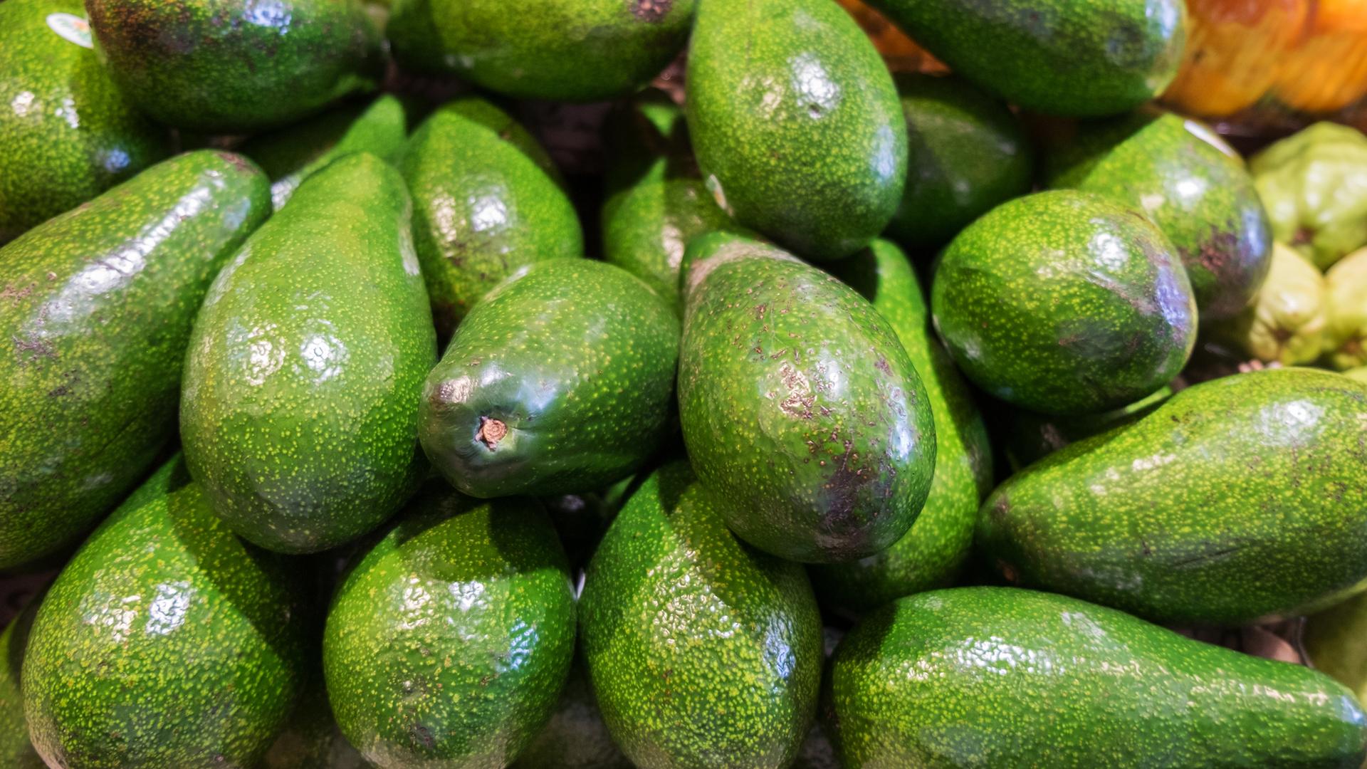 Grüne Avocados übereinander gestapelt
