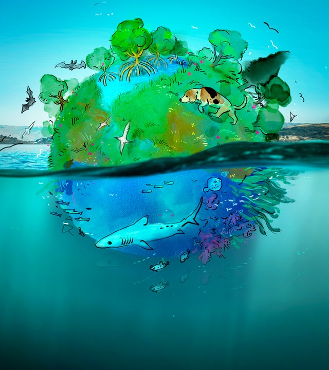 Der Planet Erde hängt halb im Wasser. In der unteren Hälfte schwimmt ein Hai, oben läuft ein Hund