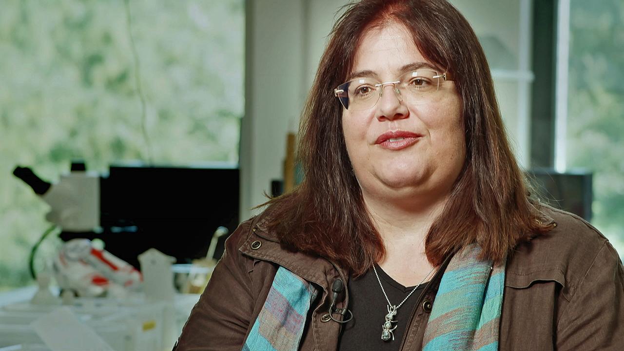 Bildergebnis für susanne foitzik