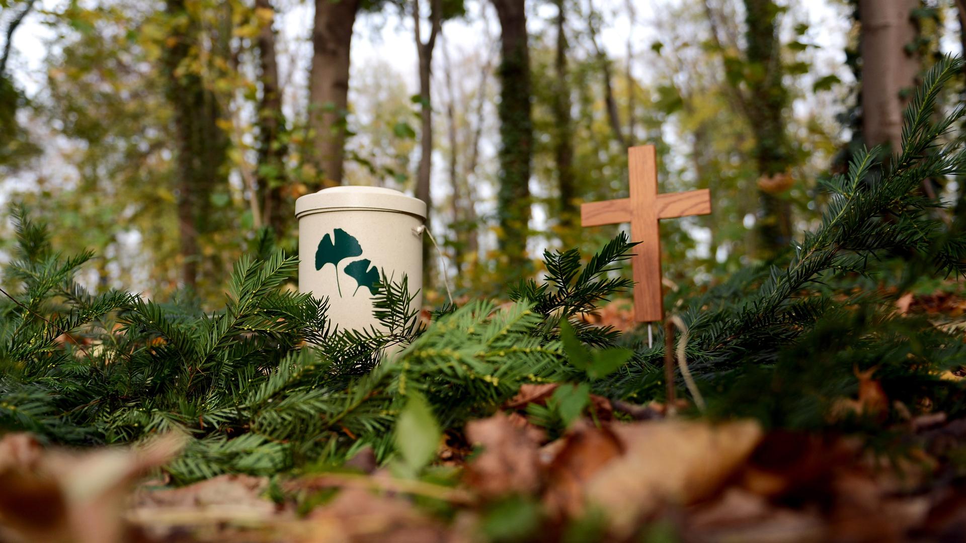 Eine Urne und ein Holzkreuz stehen in einem Friedwald.