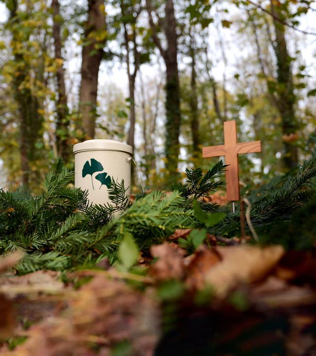 Eine Urne und ein Holzkreuz stehen in einem Friedwald.