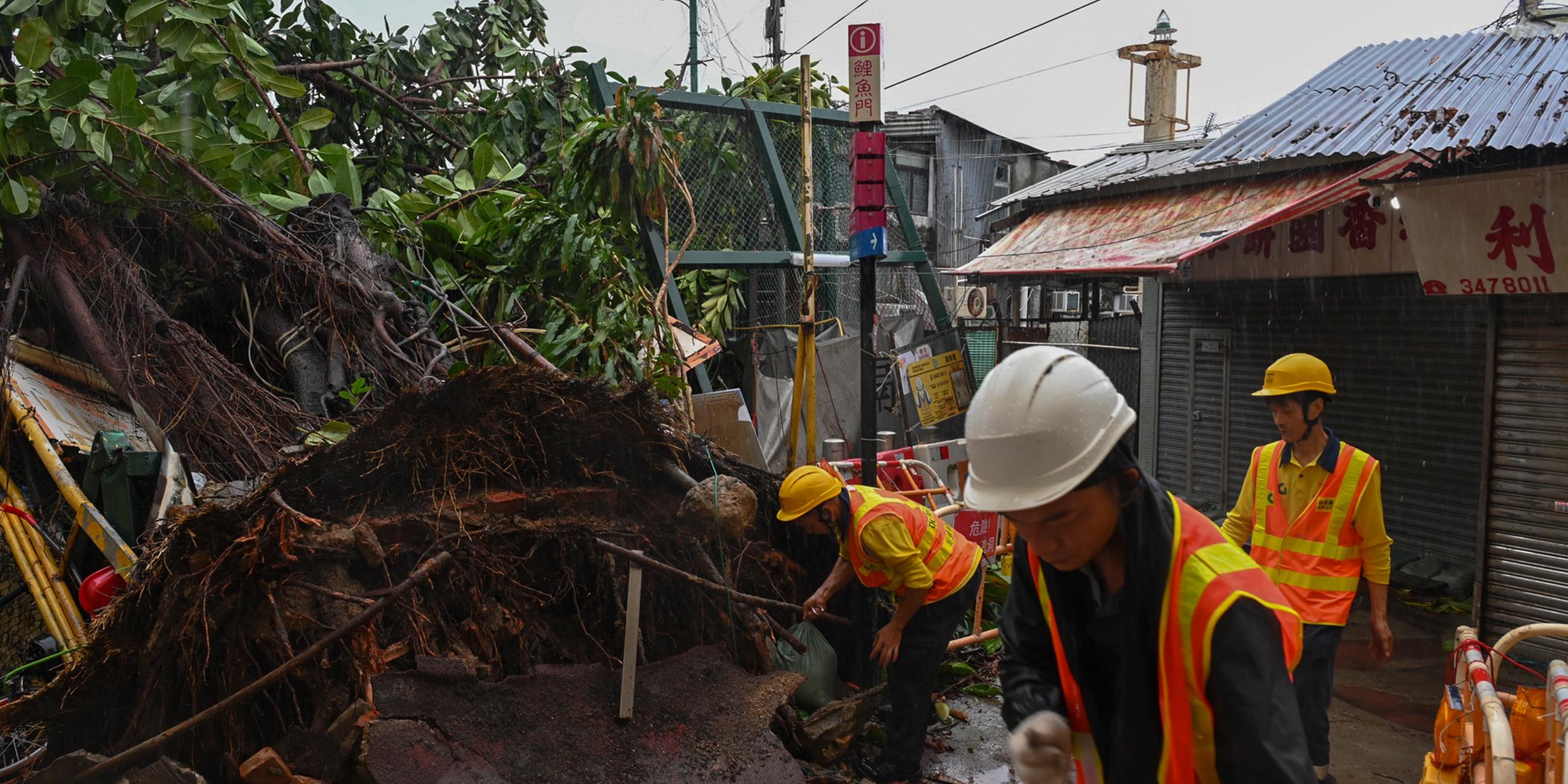 Arbeiter beseitigen Sturmschäden nach dem Taifun "Saola" in Hongkong am 02.09.2023.