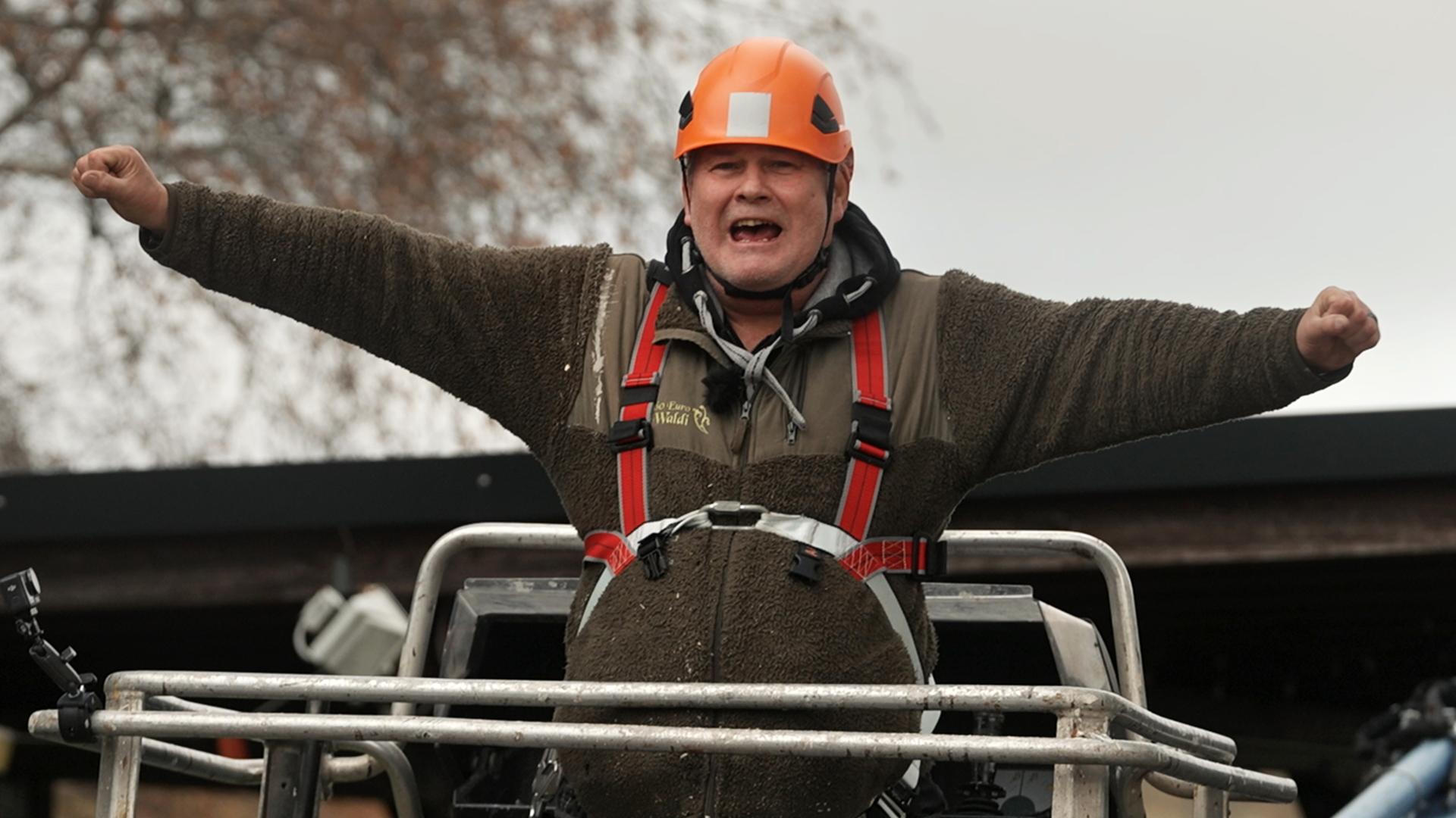 Waldis Welt Tanne, Fest & Weihnachtszauber