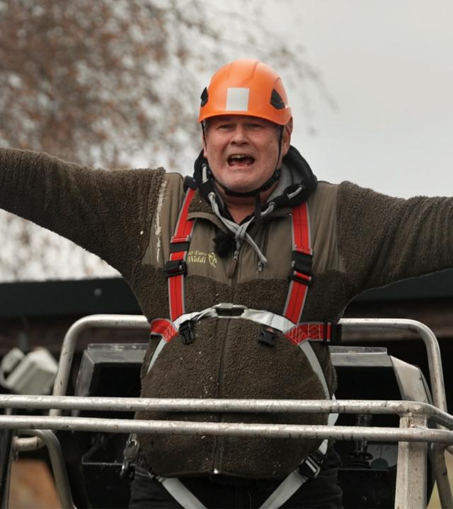 Waldis Welt Tanne, Fest & Weihnachtszauber