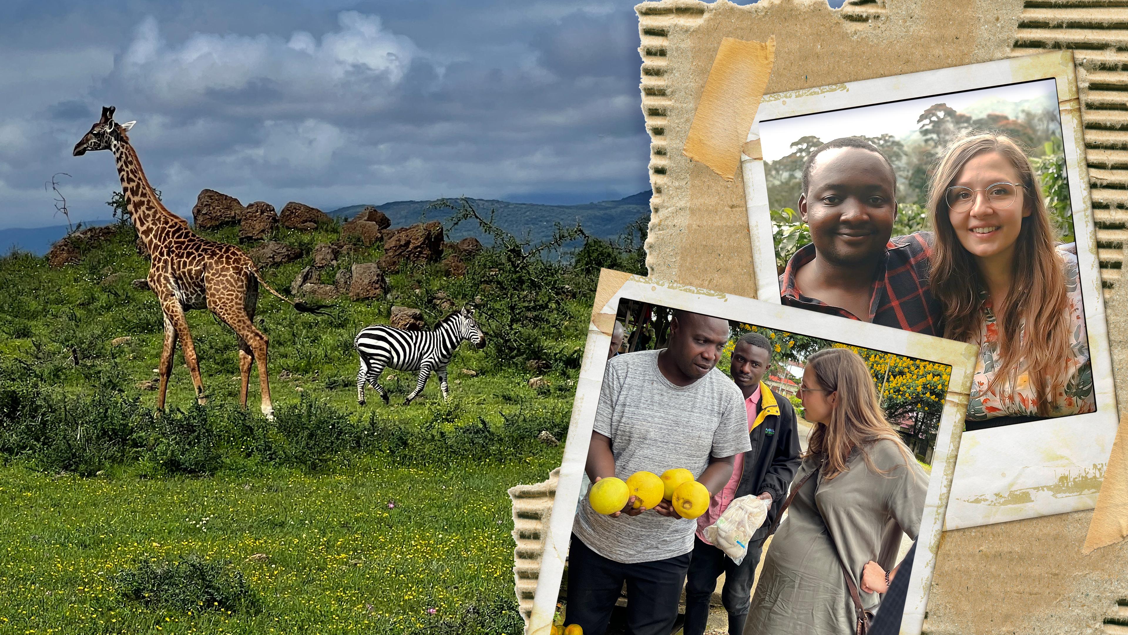 Auswanderin Diana in Tansania mit ihrem Mann Paul vor Kulisse mit Zebra und Giraffe