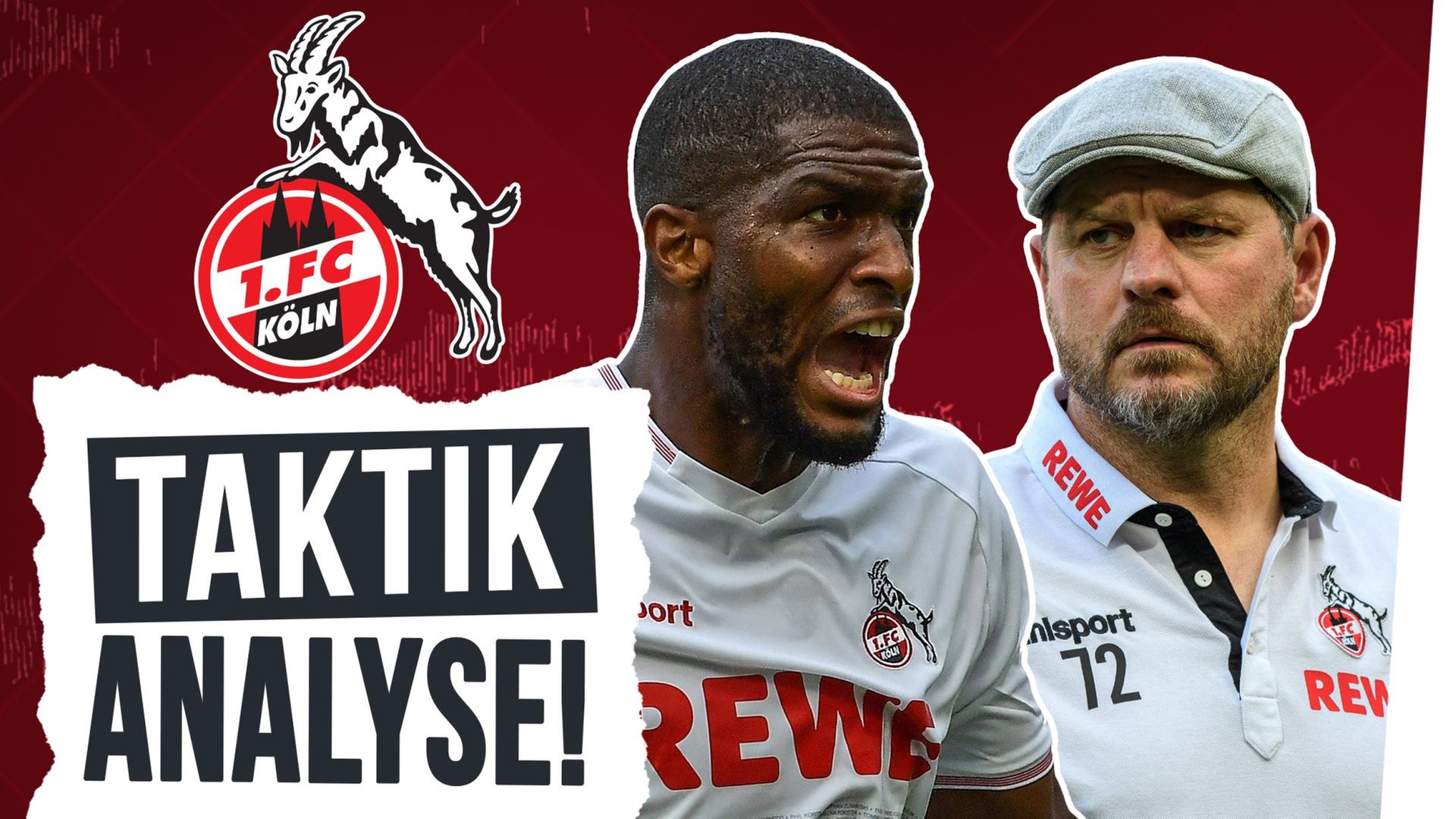 1. FC Köln: So sieht der Baumgart-Fußball beim Effzeh aus! - Taktik
