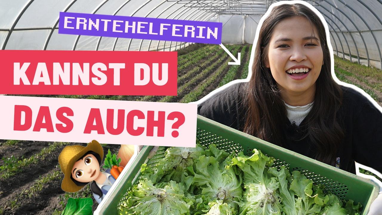 1 Tag als Erntehelfer (Challenge)