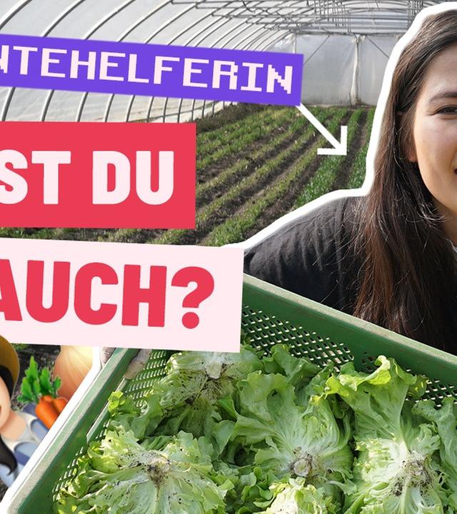 1 Tag als Erntehelfer (Challenge)
