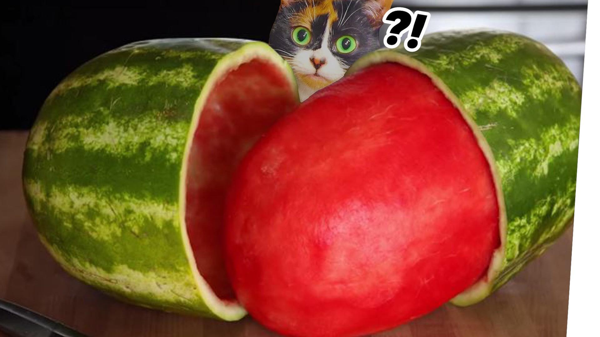 10 LIFEHACKS FÜR DEN SOMMER (Parodie)