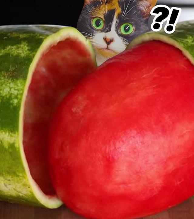 10 LIFEHACKS FÜR DEN SOMMER (Parodie)