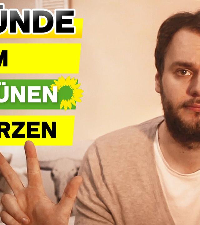 3 Gründe warum die Grünen abstürzen