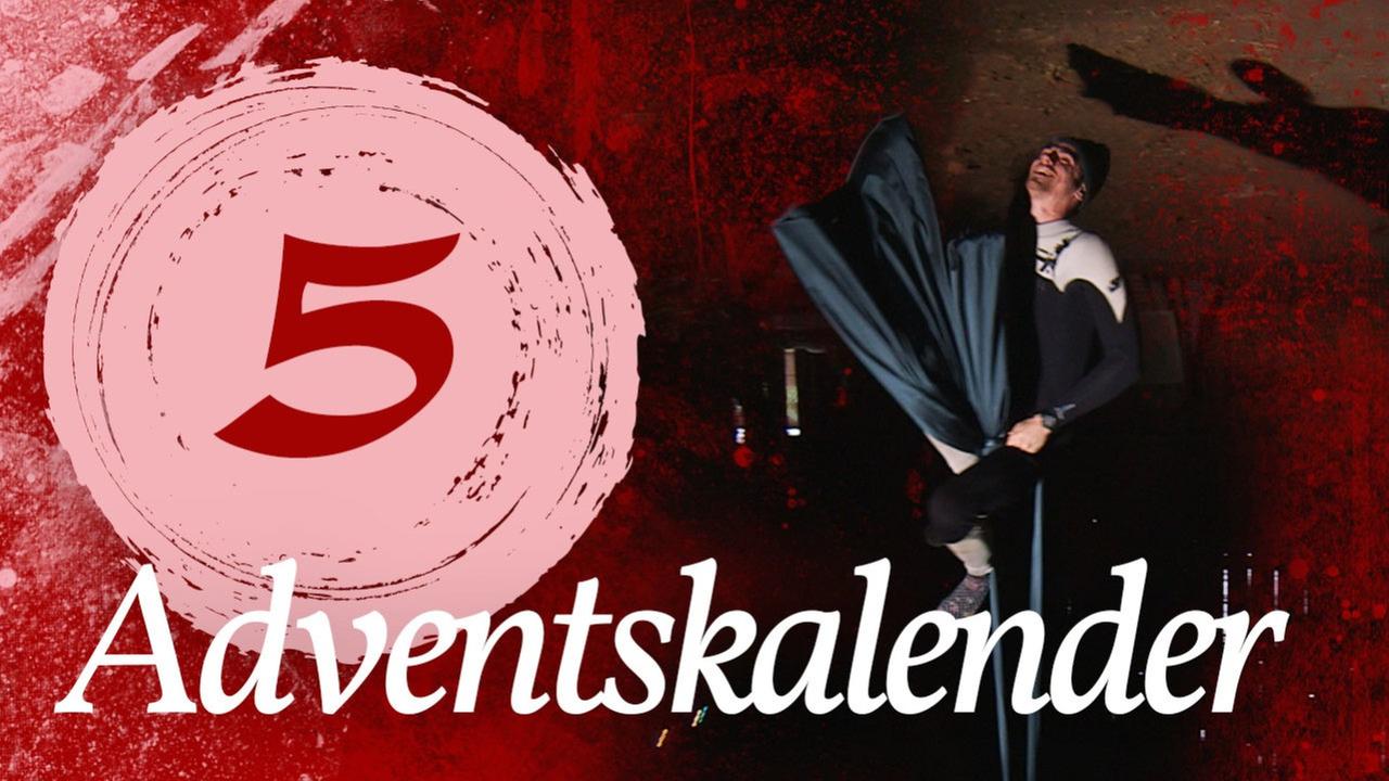 Adventskalender Türchen #05 - Aerial Silk Dance - Kliemannsland