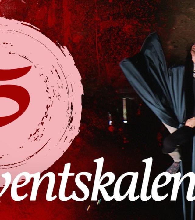 Adventskalender Türchen #05 - Aerial Silk Dance - Kliemannsland